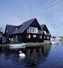 Daisy Broad Lodges