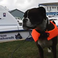 Ruby makes the news!