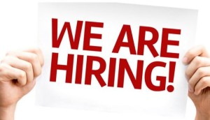 Job Vacancy