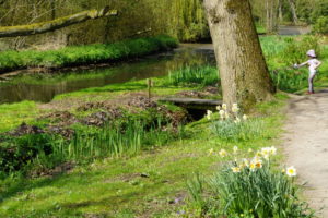 Fairhaven Woodland and Water Garden, South Walsham, Norfolk Broads