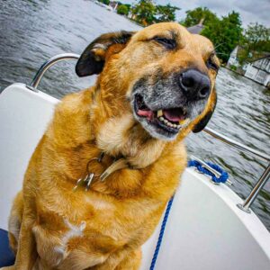 Heaven on a Norfolk Broads Hire Boat