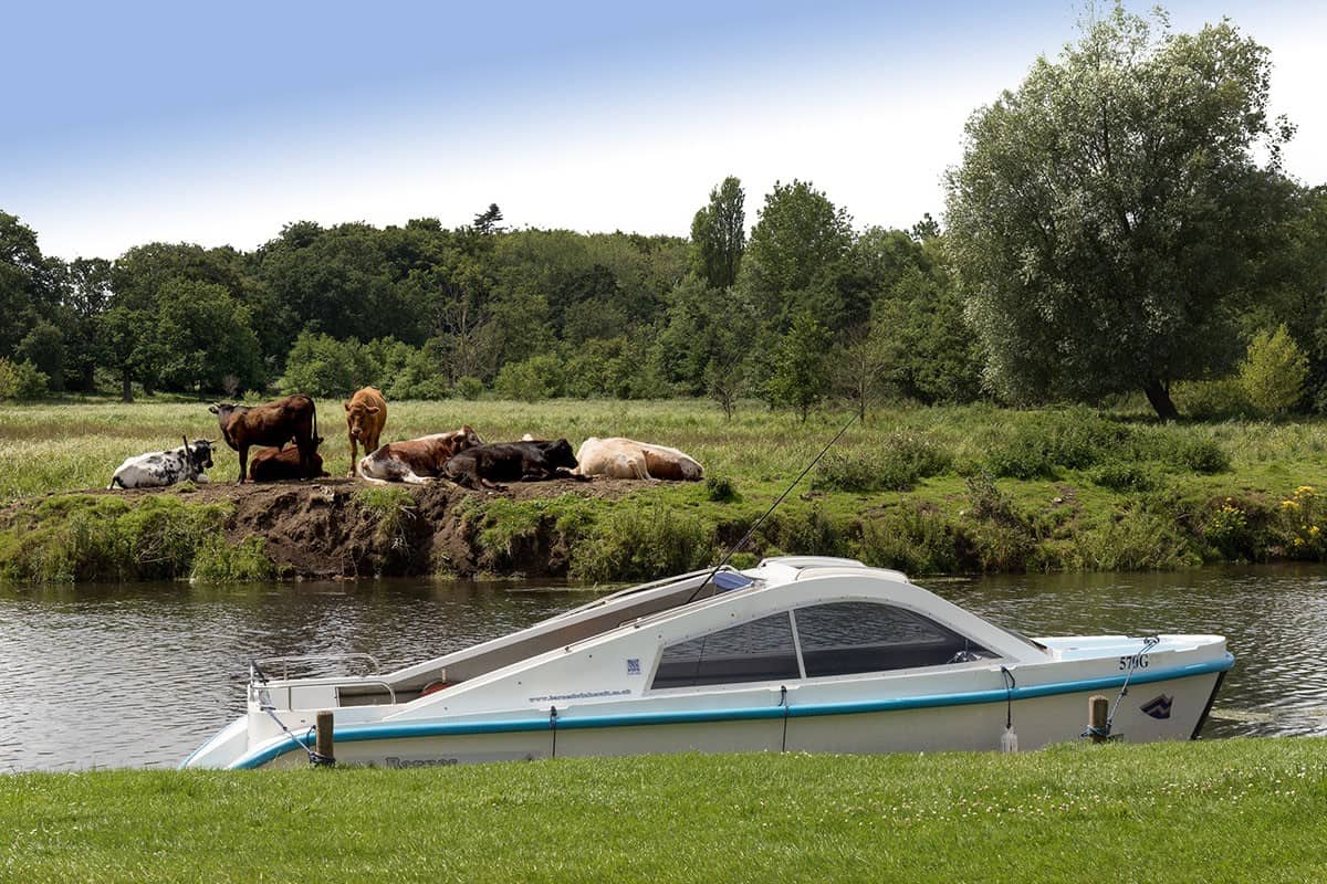 Norfolk Broads Day Boat For Hire