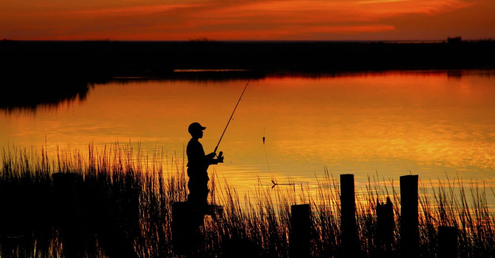 Autumn Fishing holidays on the Norfolk Broads