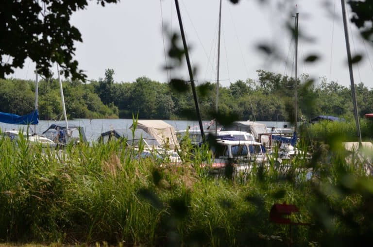 Autumn Fishing holidays on the Norfolk Broads