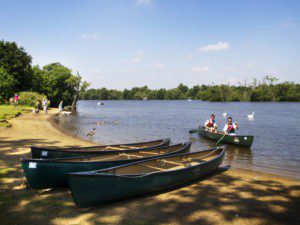 Salhouse Broad - Norfolk Broads
