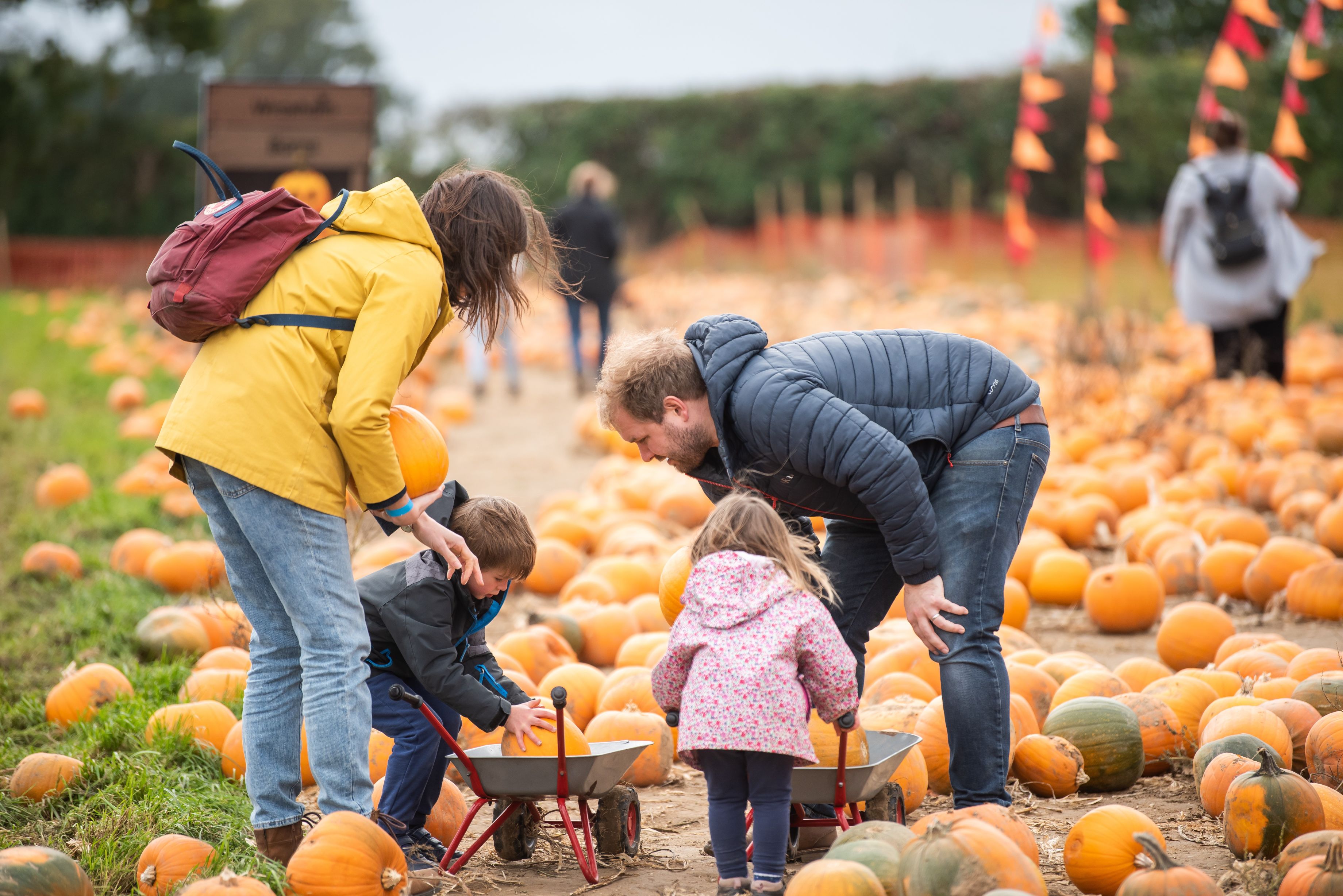 October Half Term in Norfolk