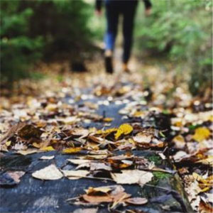 Walking through the Broads