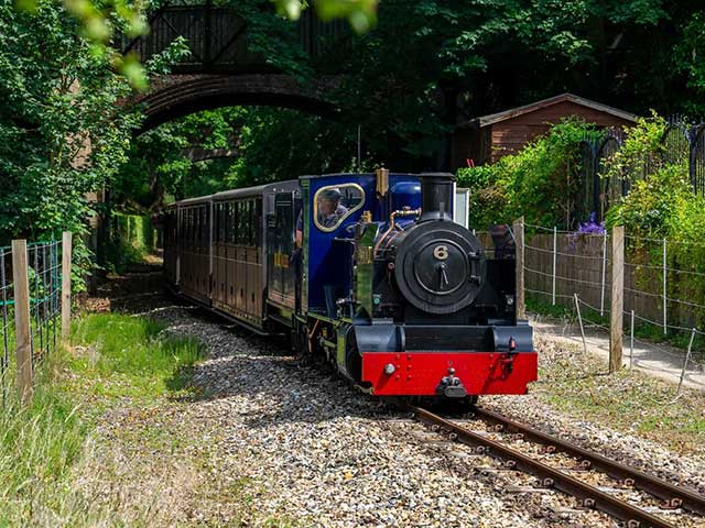Bure Valley Railway -with loco "Blickling Hall" pulling the carriages
